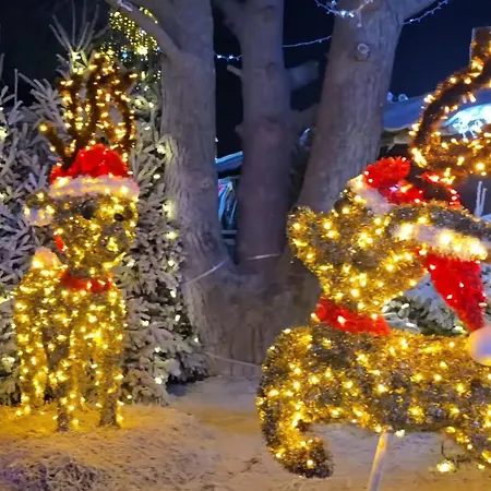 Noël à Barcarès Feliz Navidad Appartement Le Barcarès